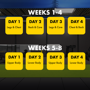 8 Week Muscle Building Training Plan- PDFs